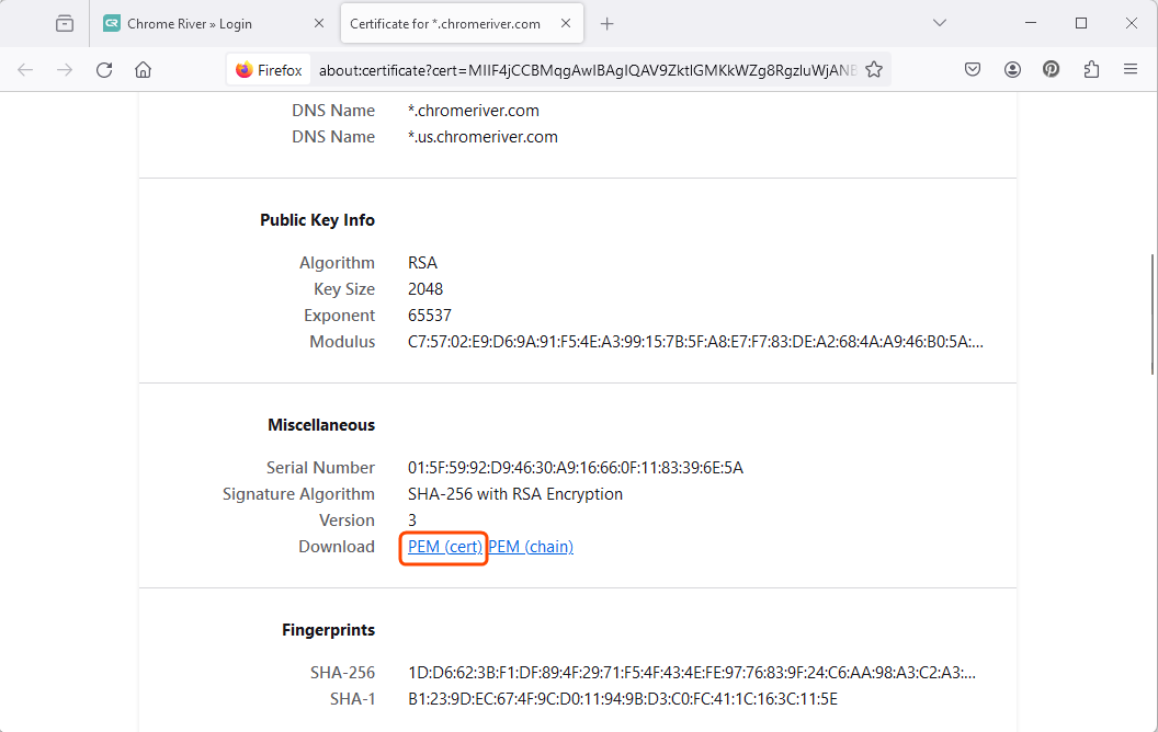 DC - Firefox PEM Cert.png