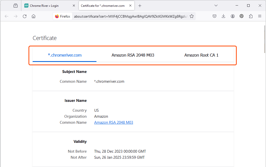 DC - Firefox Cert Tabs.png
